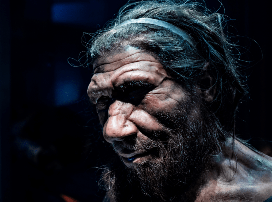 Kako bi Zemlja izgledala da savremeni ljudi nikada nisu postojali?