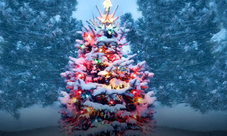 Istorija božićnih i novogodišnjih jelki