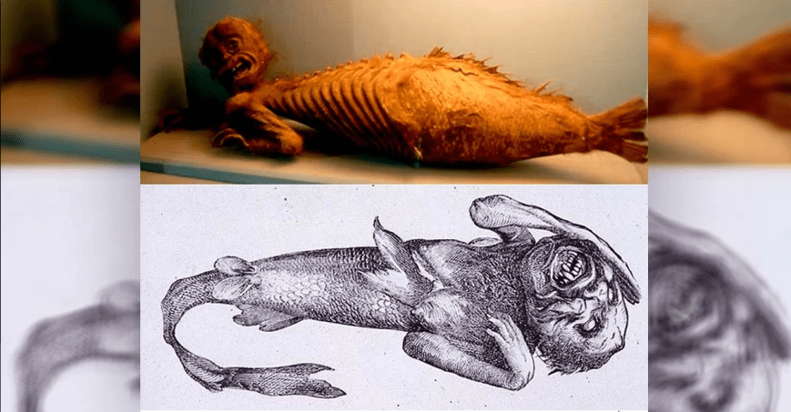 Sirena sa Fidžija: šta je to bilo i zašto je izazvala takvo interesovanje?