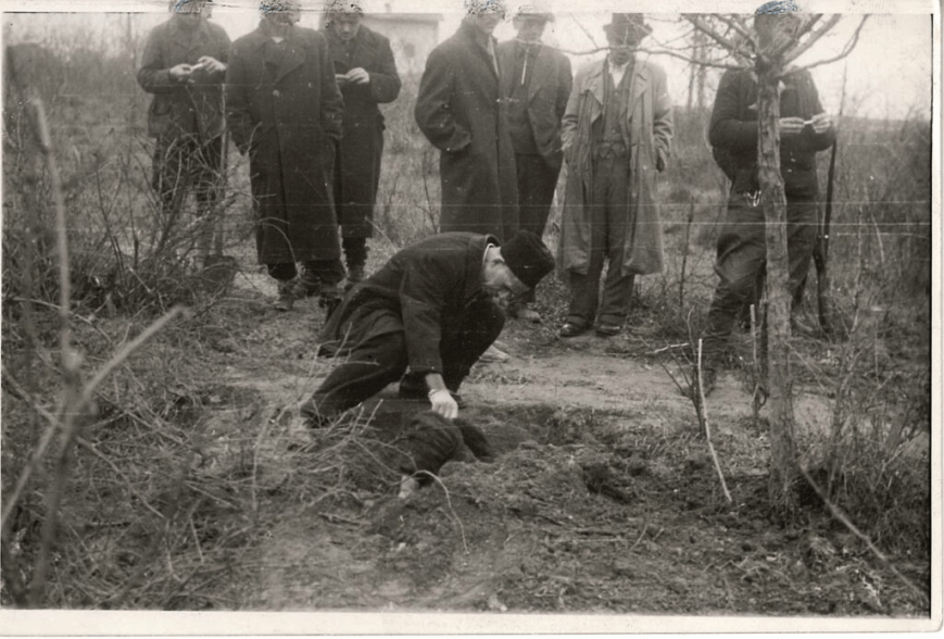 Teror, Političke Čistke i Posledice – Streljanja nakon oslobođenja 1944.-45. godine