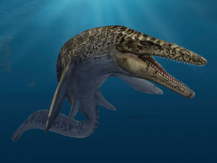 Geolozi naišli na ostatke džinovskog „morskog čudovišta“ u Misisipiju, verovatno najvećeg mosasaura ikada identifikovanog