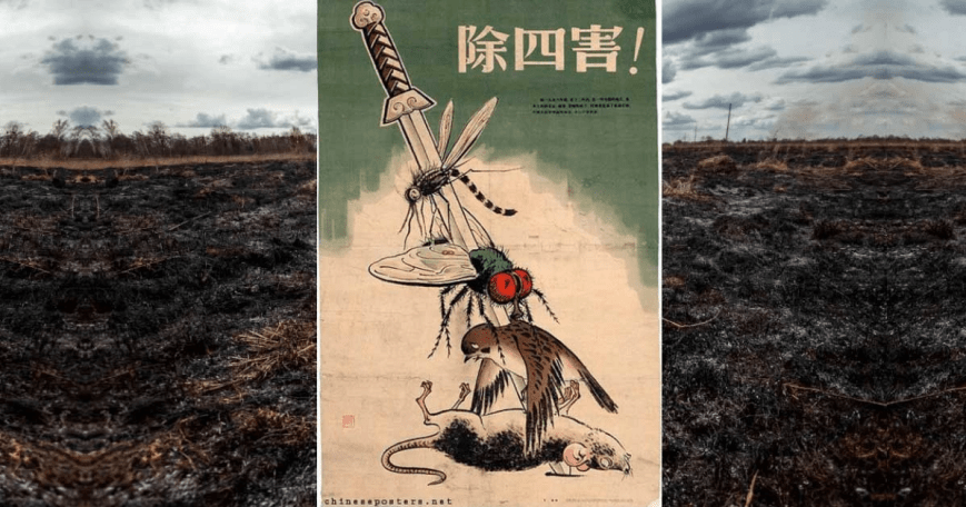 Slučajni kineski genocid?