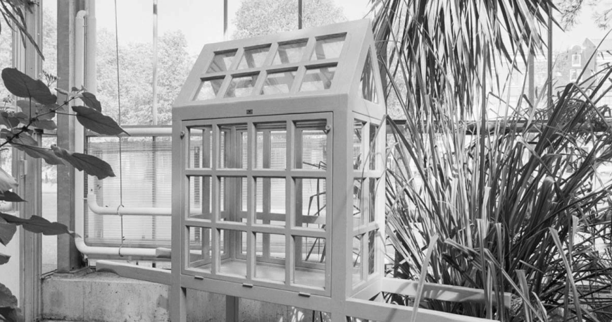 Kako je slučaj Vardijan pomogao da se čaj uveze u Indiju