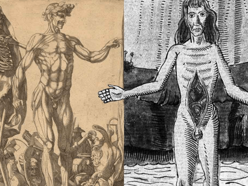 Da li su renesansni umetnici zaista koristili leševe da bi naučili anatomiju?