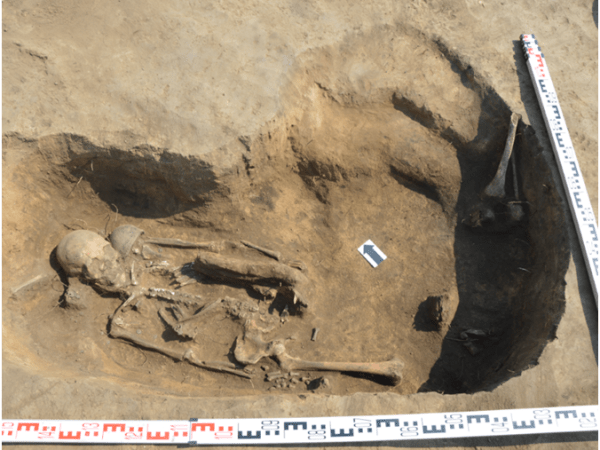 Medvedi u žrtvenoj pozi: Bronzana ploča iz ranog srednjovekovnog Altaja otkriva nepoznatu južnjačku tradiciju