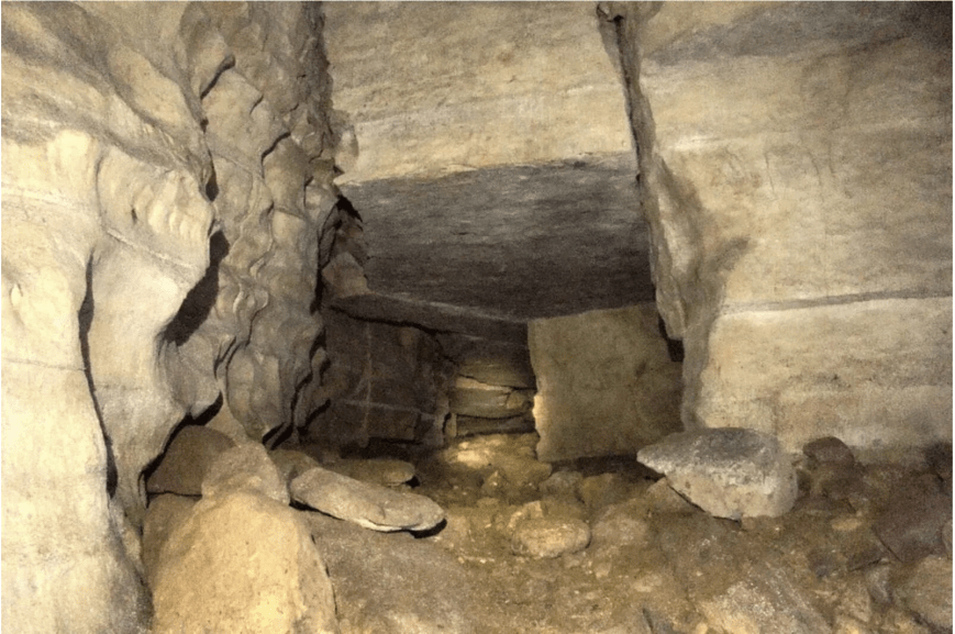 Zlatna biblioteka Ekvadora koja menja sve što znamo o ljudskoj istoriji