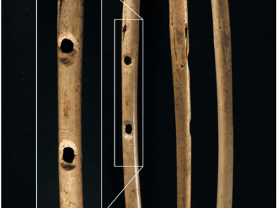 Praistorijska muzika: Koštane frule Dunavske doline