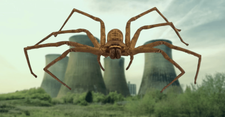 Černobiljski mutantski pauk