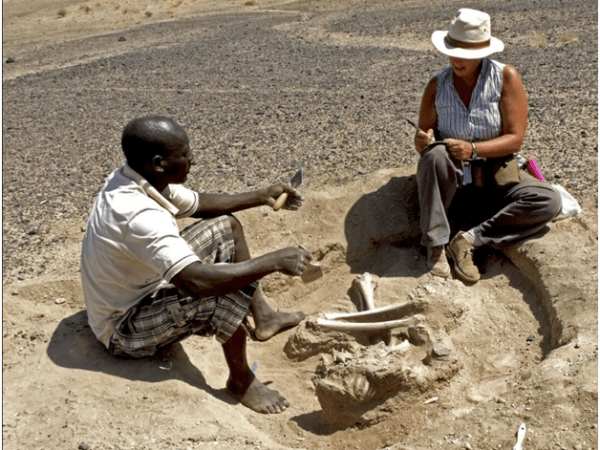 Najstariji dokazi o ratovanju